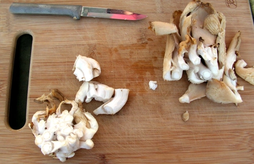 Nấm sò ngon bổ thế sao không trồng ngay nấm siêu sạch tại nhà khỏi lo về giá - 5