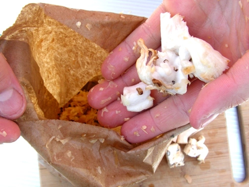 Nấm sò ngon bổ thế sao không trồng ngay nấm siêu sạch tại nhà khỏi lo về giá - 10