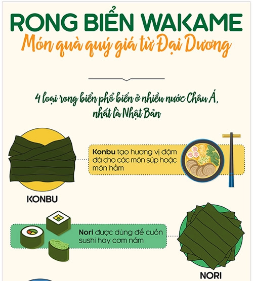 Rong biển wakame - món quà quý giá từ đại dương - 1