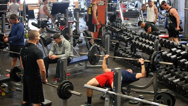 Tập gym có gây yếu sinh lý nam giới hay không - 1