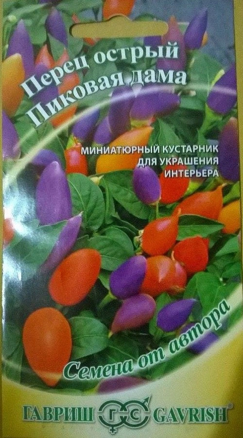 Trồng ngay ớt bi đủ màu vừa đẹp nhà mà lại hợp phong thủy - 3