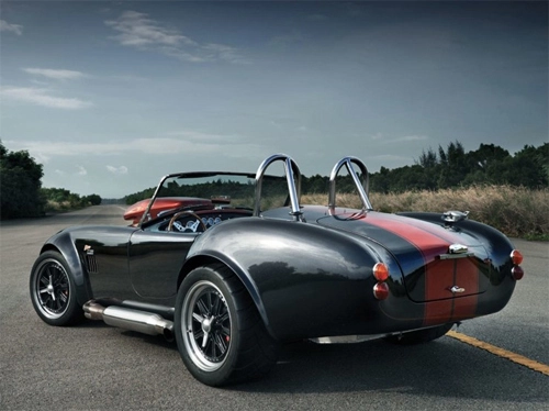  weineck cobra v8 - 9