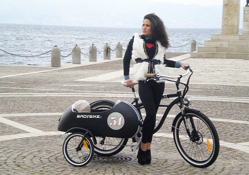  xe đạp điện phong cách sidecar - 1