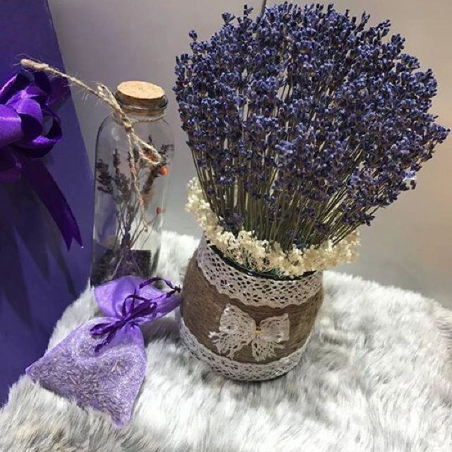 Hoa lavender quá đẹp mà thơm lại đuổi được muỗi tội gì không tự trồng vài chậu tại nhà - 3