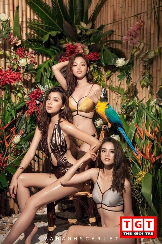 Đồng ánh quỳnh the face nóng bỏng trong mẫu bikini mới nhất của vân anh scarlet - 1