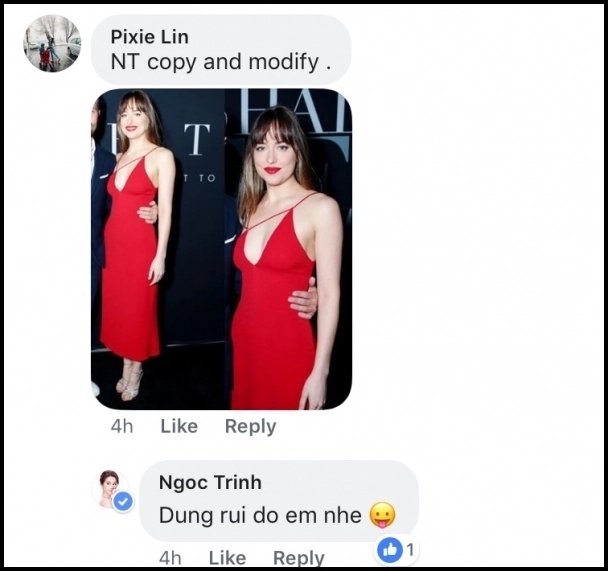 Đụng hàng xưa rồi ngọc trinh bây giờ còn công khai đạo nhái mẫu thiết kế nước ngoài - 7