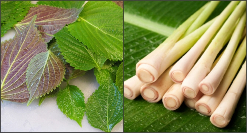Muốn sở hữu đôi chân trắng nõn nà thì áp dụng ngay và luôn 7 công thức thiên nhiên này - 7