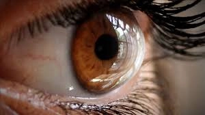 Nhóm bệnh nhân bị ung thư mắt hiếm gặp khiến các nhà khoa học bối rối - 2