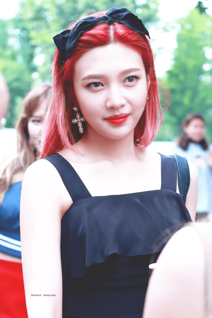 Những màu tóc siêu thực được lòng sao kpop nhất năm 2017 - 14