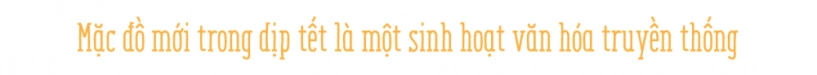 Sắm đồ tết nỗi khủng hoảng mới của giới trẻ - 3