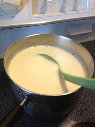 Tự làm sữa chua tại nhà chỉ với 2 nguyên liệu - 2