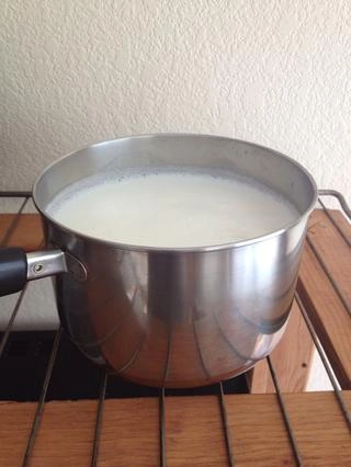 Tự làm sữa chua tại nhà chỉ với 2 nguyên liệu - 3