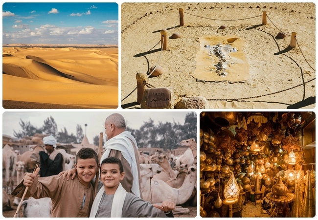 21 ngày du lịch ai cập cưỡi lạc đà khám phá sa mạc sahara - 18