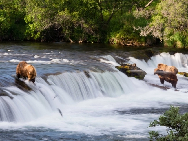 Alaska vùng đất hoang vu và đầy bình yên dư sức níu chân bạn - 10