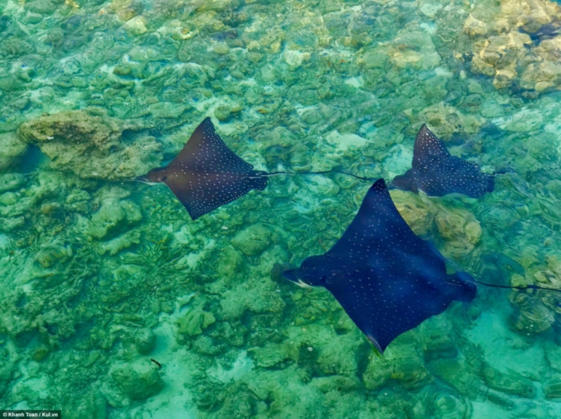 bỏ túi ngay bí kíp du lịch maldives giá rẻ - 2