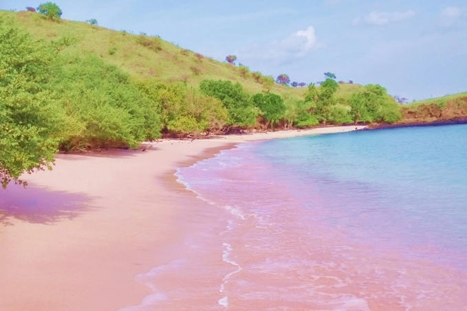 Choáng ngợp với bãi biển màu hồng như bước ra từ truyện tranh - 5