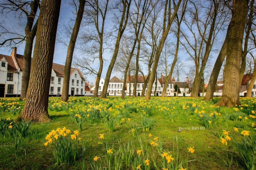 Đắm chìm trong nét êm đềm tại bruges - venice của phương bắc - 1