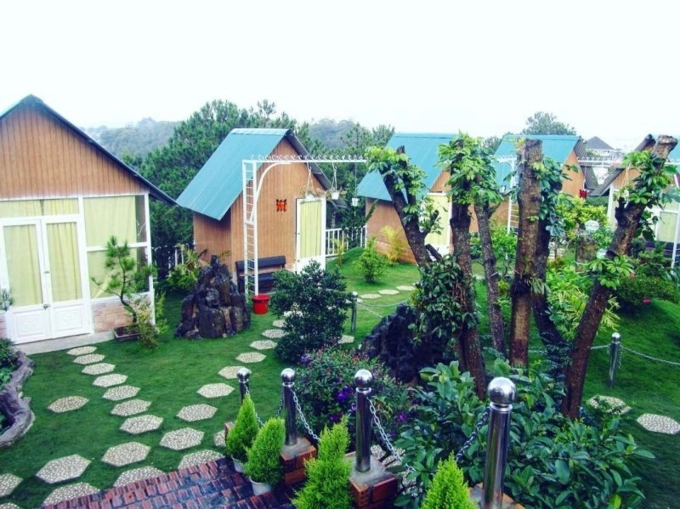 Đến đà lạt nhất định phải ở 5 homestay đình đám này - 17