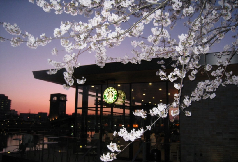 Đồ uống có mắc cỡ nào thì giới trẻ vẫn ầm ầm đến check-in 6 tiệm starbucks ấn tượng nhất thế giới này - 3