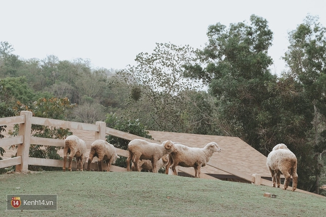 Du lịch châu âu ở thái lan nghe kỳ kỳ mà hợp lý vô cùng - 11