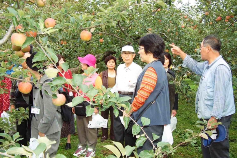 Du lịch nhật bản bao nhiêu lần mà chưa đến chỗ này xem ra cũng phí - 3