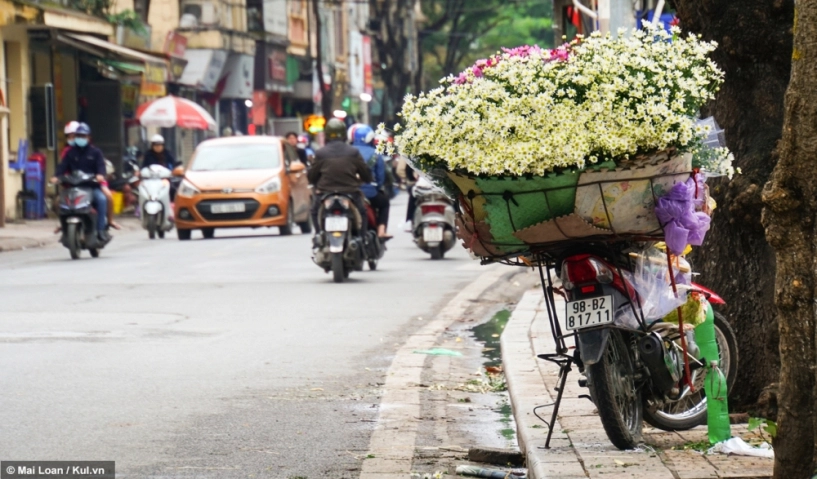 Giới trẻ hà thành lại phát sốt với những bông cúc họa mi đầu mùa - 15