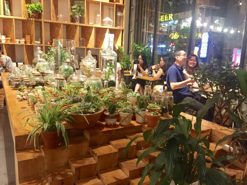 Giữa hà nội đông đúc lại có quán café yên tĩnh xanh mát đến vậy - 13