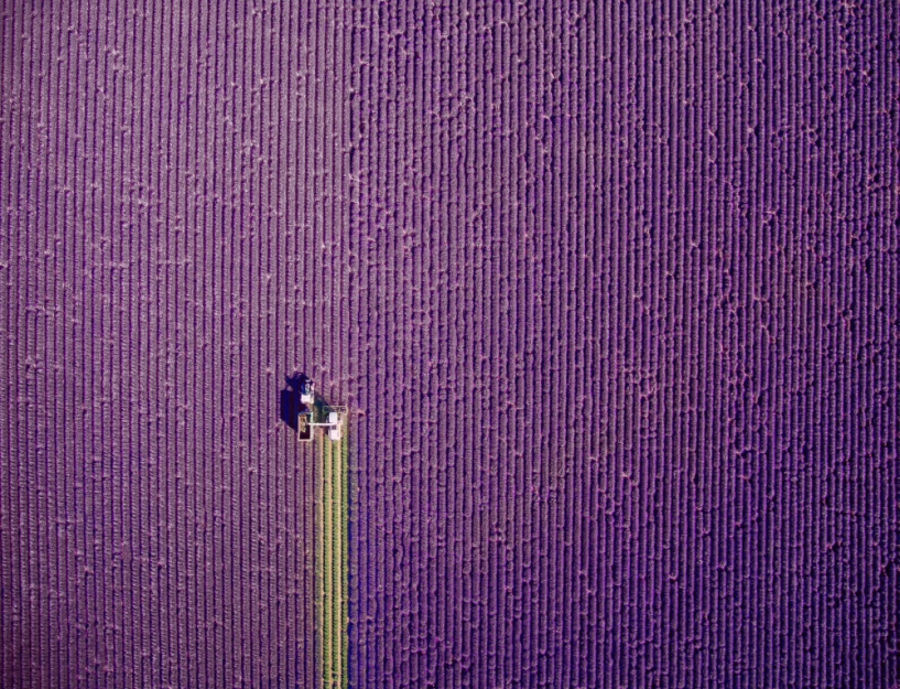 Hồ súng việt nam lọt top 12 bức ảnh chụp bằng flycam ấn tượng nhất thế giới - 7