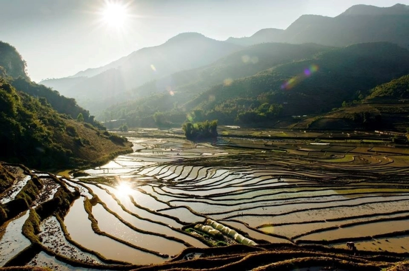 Lên mù cang chải ngắm ruộng bậc thang mùa nước đổ - 4