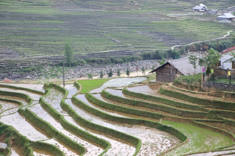 Lên mù cang chải ngắm ruộng bậc thang mùa nước đổ - 6