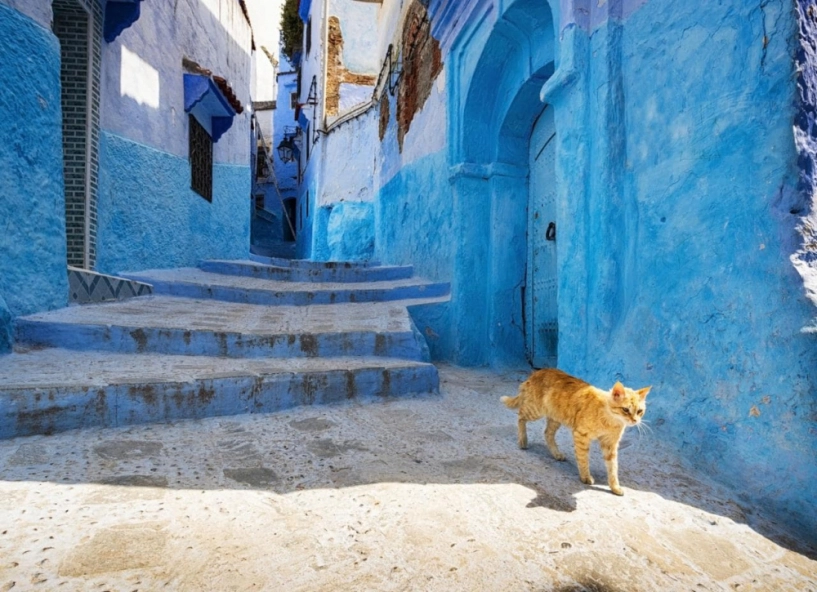 Morocco xứ sở của các câu chuyện cổ tích - 17