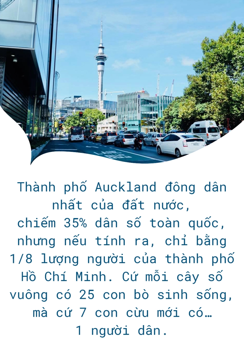 New zealand - thiên đường không có thật - 4