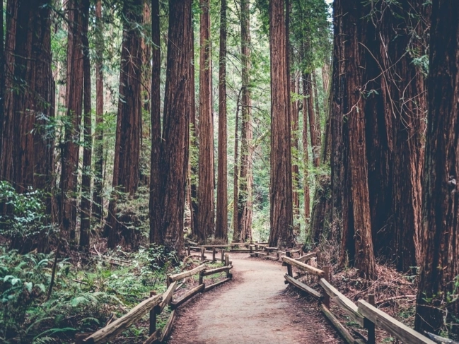 Những điểm đến ở california làm nức lòng dân sống ảo - 1