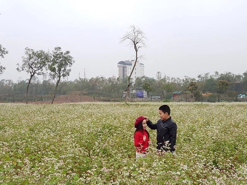 Tặng vé tham quan công viên mê cung và đảo hoa hồng cho chị em dịp 83 - 6