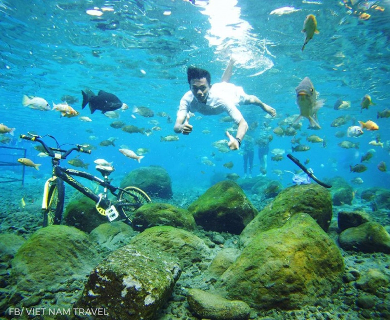 Tới indonesia để trải nghiệm check-in dưới nước có 1-0-2 - 2