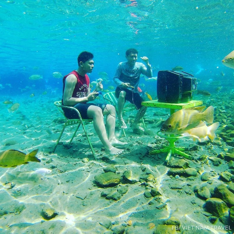Tới indonesia để trải nghiệm check-in dưới nước có 1-0-2 - 6