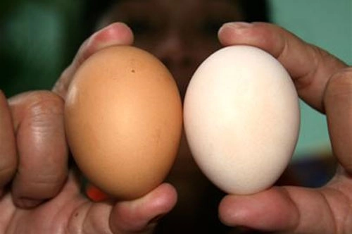 Cách đơn giản giúp chọn trứng gà sạch an toàn không lo bị tẩy trắng - 2