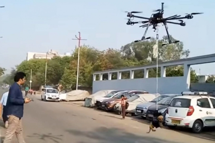 chiến dịch cứu chó với drone robot và ai của một kỹ sư robot người ấn độ - 1