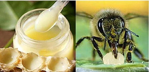 Spa cho da mặt a - z cực đơn giản tại nhà với 4 công thức từ sữa ong chúa - 1