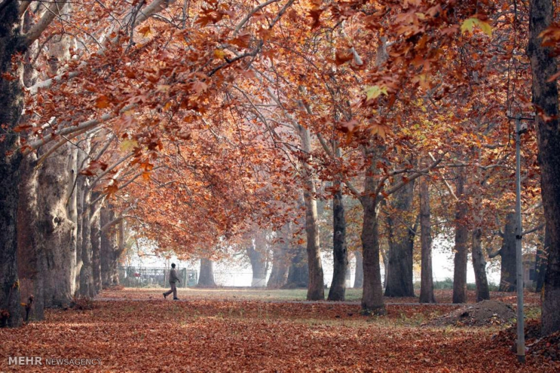 Lặng người trước vẻ đẹp tuyệt sắc của mùa thu trên khắp thế giới - 7