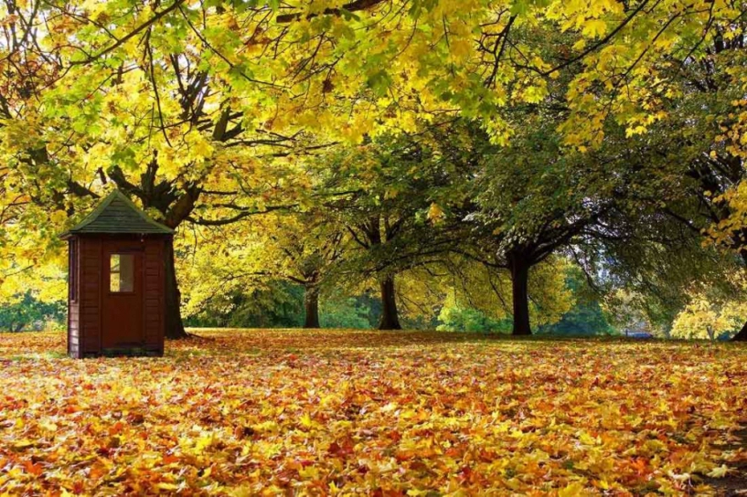 Lặng người trước vẻ đẹp tuyệt sắc của mùa thu trên khắp thế giới - 10