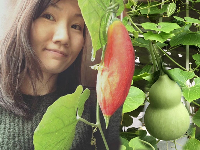 6 kiểu ban công đẹp mĩ mãn cho nhà phố nhỏ hẹp ai nhìn cũng muốn là của nhà mình - 18