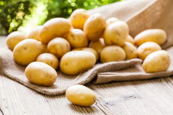 Chẳng cần vườn rộng cũng trồng được hàng cân khoai tây trong túi nilon bao tải tại nhà - 2
