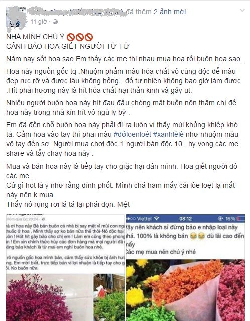 Dân mạng cảnh báo hóa chất độc hại từ hoa sao khô đang tràn ngập thị trường hoa tết - 1