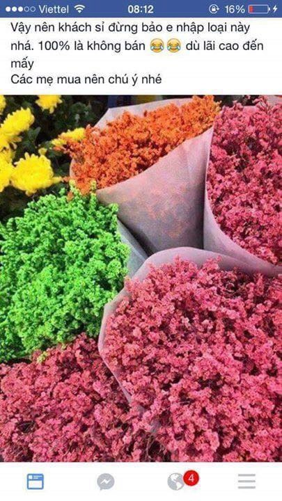 Dân mạng cảnh báo hóa chất độc hại từ hoa sao khô đang tràn ngập thị trường hoa tết - 4