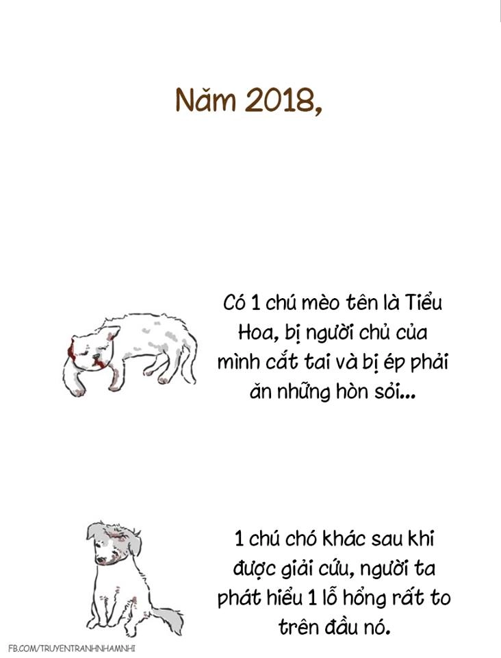 Đừng vô tâm hãy cứu lấy những chú chó chú mèo này trước khi quá muộn - 22