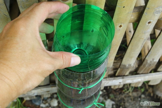 Học trồng rau sạch đơn giản bằng vỏ chai nước ngọt - 11