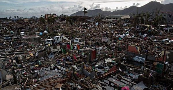 Liều trồng dứa ngay sau siêu bão haiyan 2013 5 năm sau cậu bé nhận thành quả không tin nổi - 1