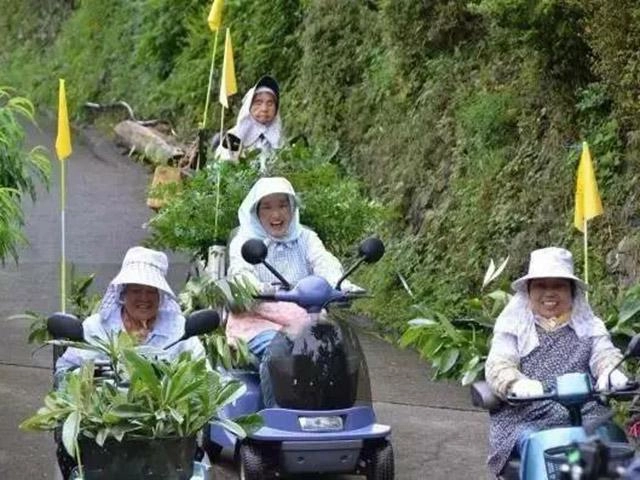 Hết tết mà nhà vẫn có cành đào bày cả năm không héo hóa ra bí mật từ cây nến - 11
