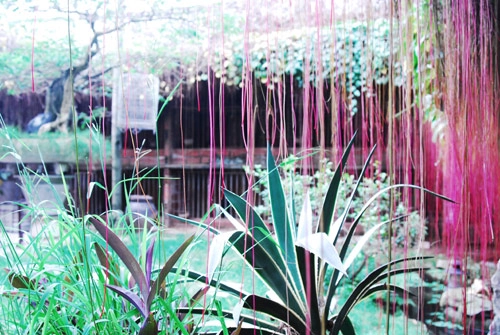 Nhà vườn trắng tinh khôi nổi bật triền đê sông hồng - 11